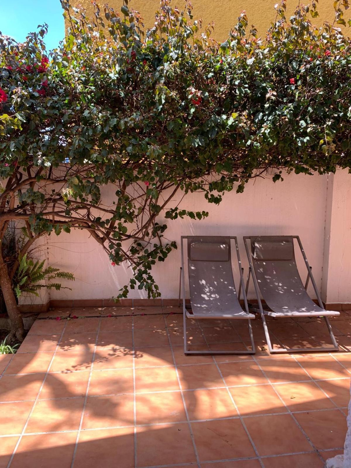 Casa Pepa Daire Málaga Dış mekan fotoğraf